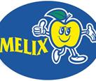 Melix Logo